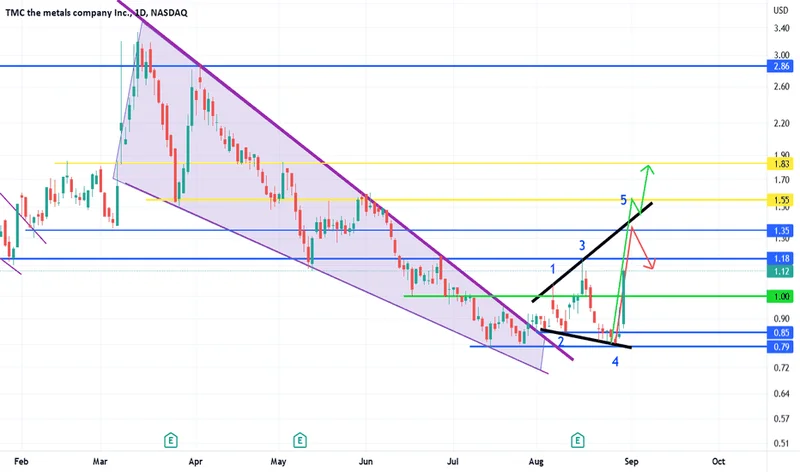 TMC Stock: Price and Recent News – What Reddit is Saying